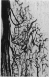 552-2