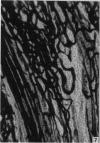 552-2