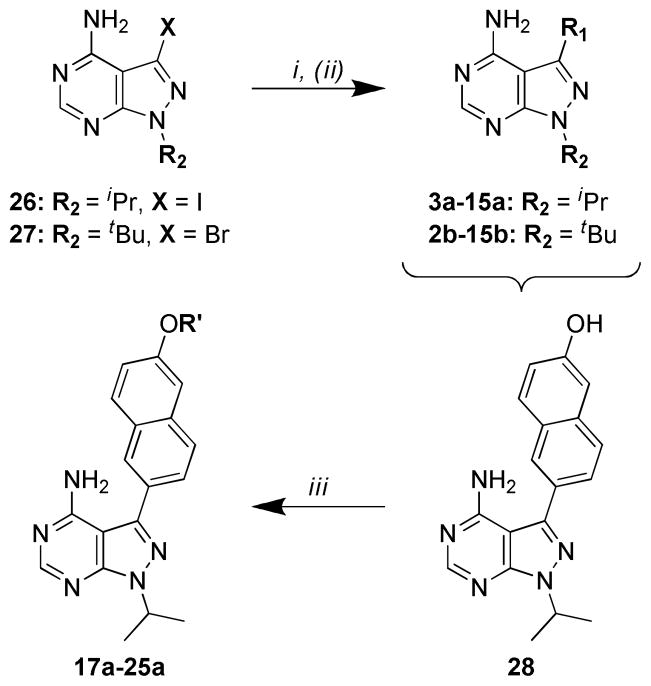 Scheme 1