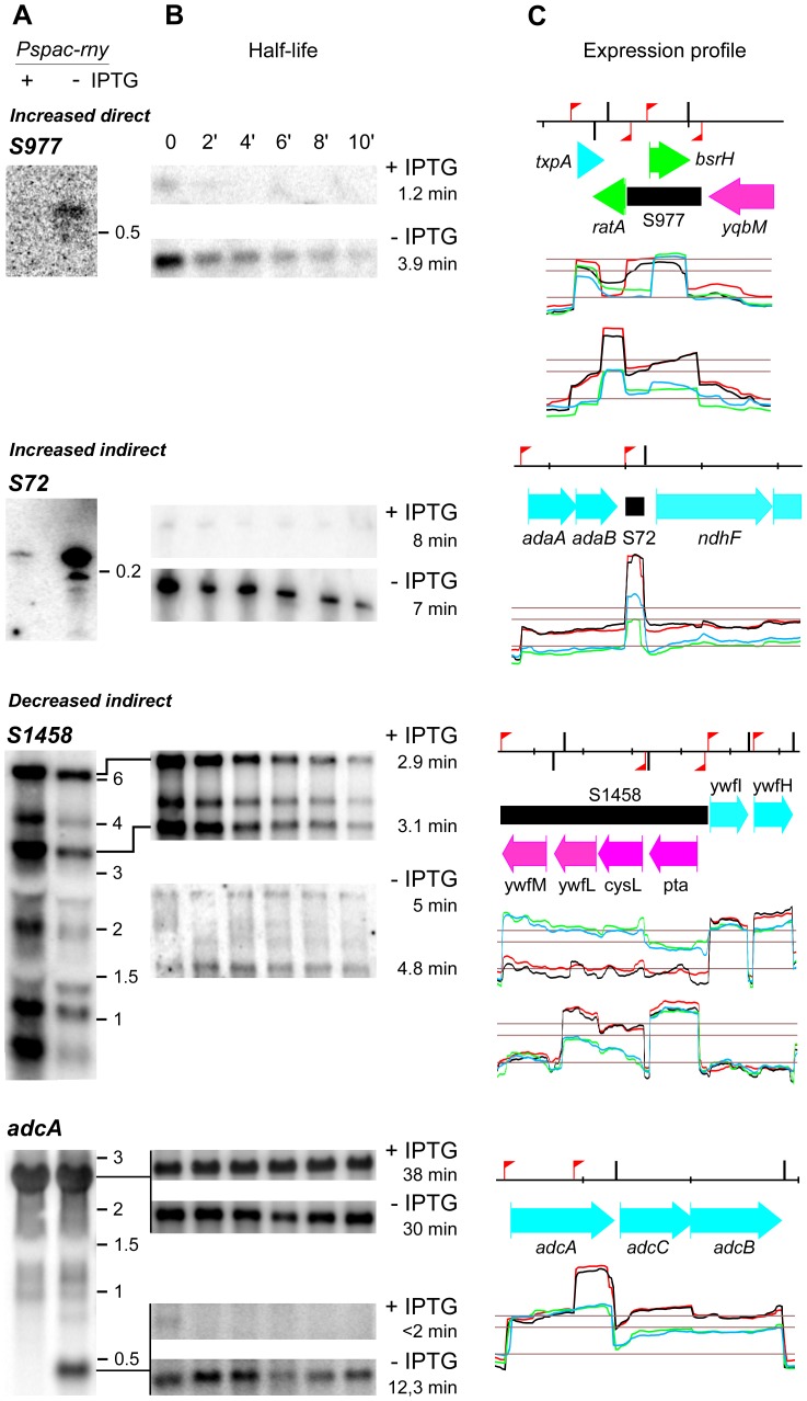 Figure 6