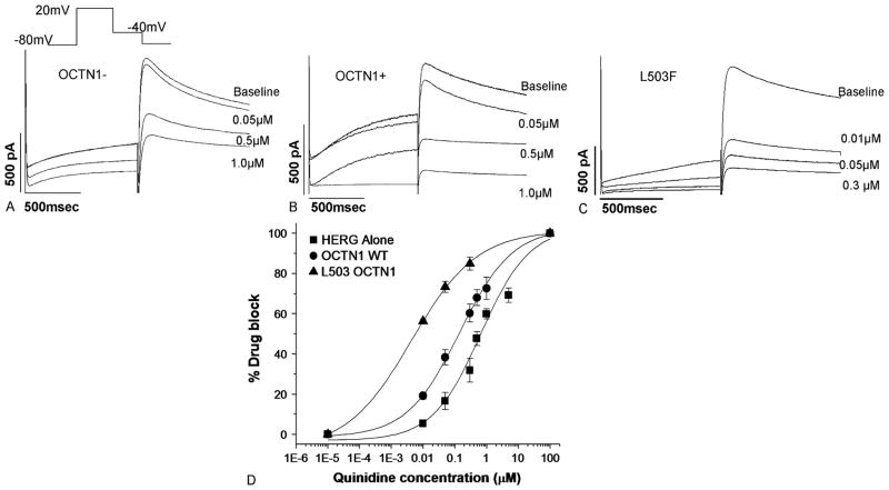 FIGURE 4