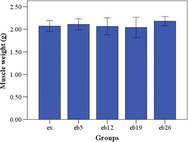 Fig. 6