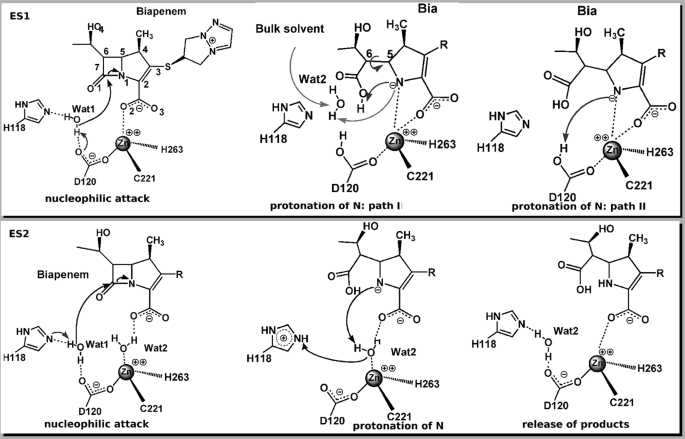 FIGURE 1.