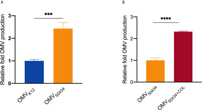 Figure 5