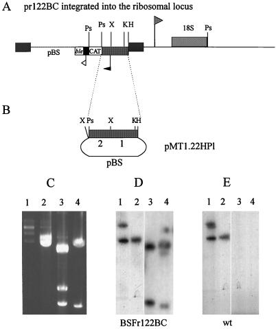FIG. 5