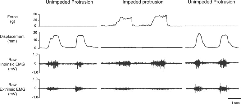 FIG. 3.