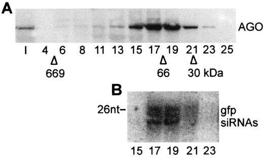 FIG. 5.