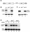 FIG. 2.