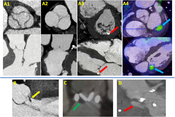 Fig. 7