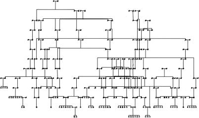 Figure  1