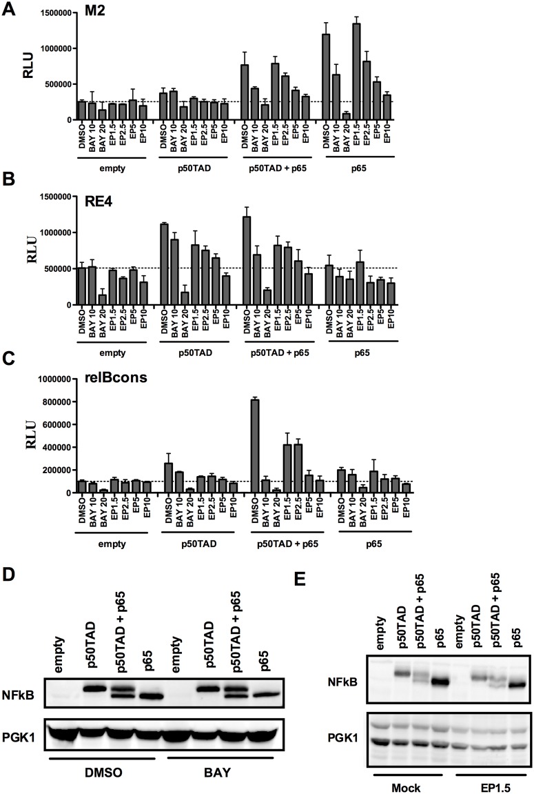 Fig 6