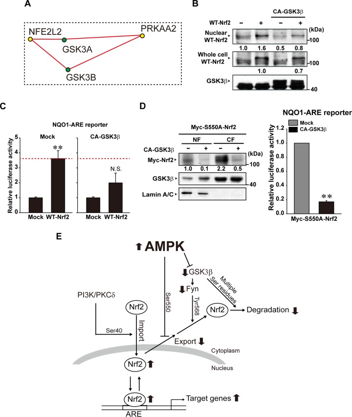 FIG 6