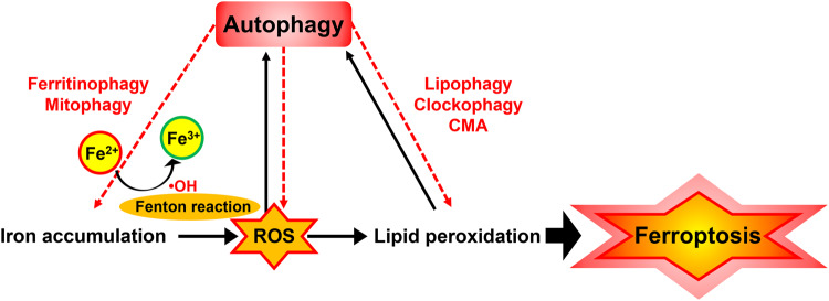 Fig. 5