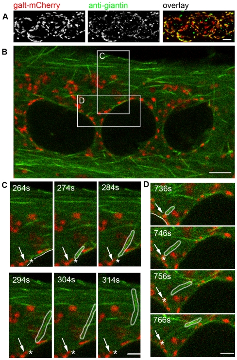 Figure 10