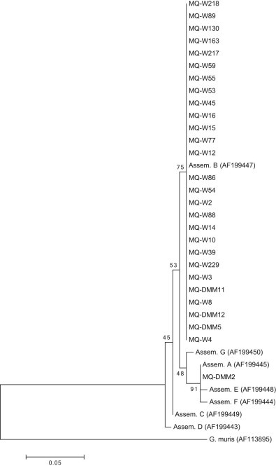 Fig. 2