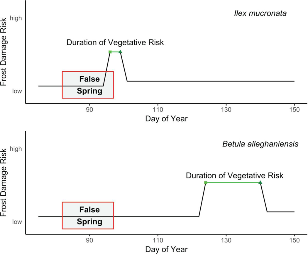 Figure 3: