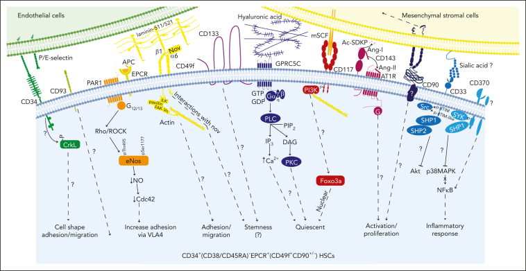 Figure 1.