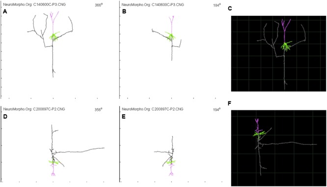 FIGURE 2