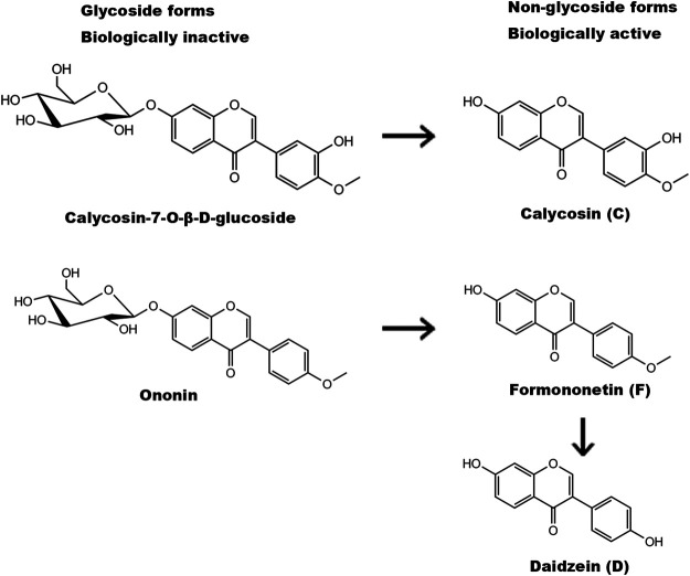 FIGURE 1