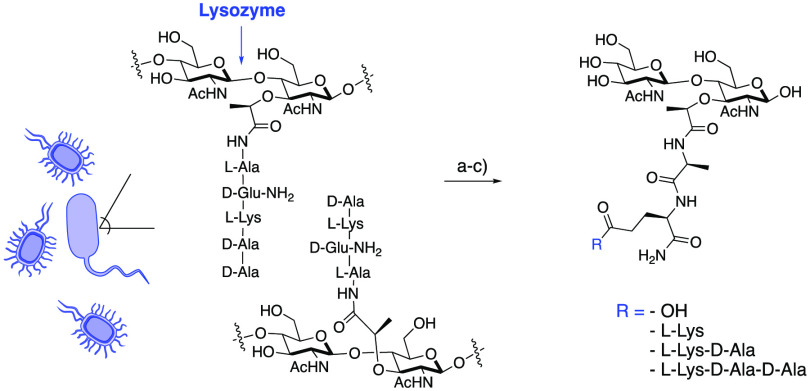 Scheme 2