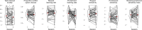 Appendix 7—figure 1.
