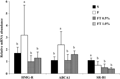 FIGURE 2 