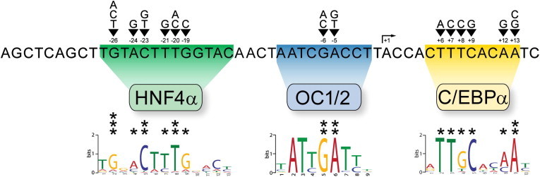 Figure 1