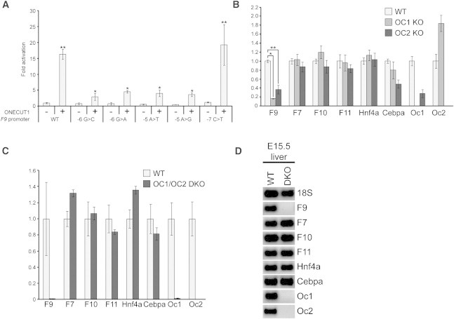 Figure 4