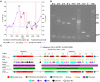 <sc>Fig</sc>. 3.