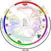 <sc>Fig</sc>. 1.