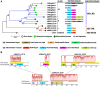 <sc>Fig</sc>. 2.