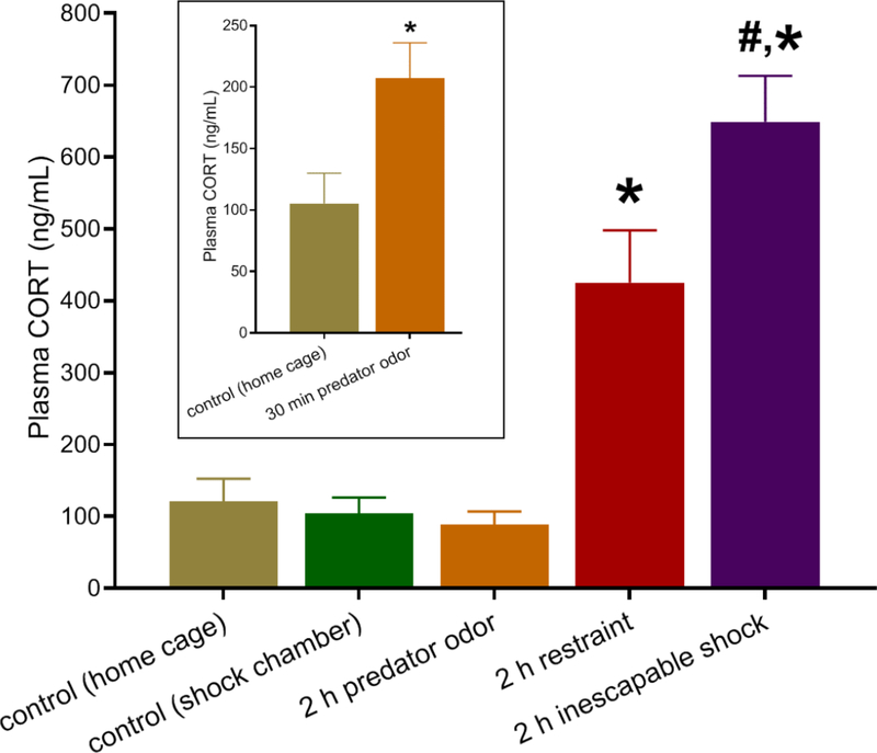 Figure 2: