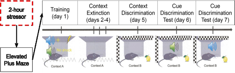 Figure 1: