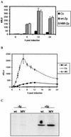 FIG. 4.