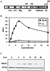 FIG. 1.