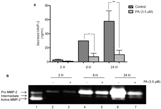 Figure 7