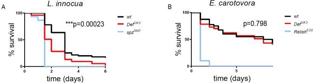 Figure 1—figure supplement 1.