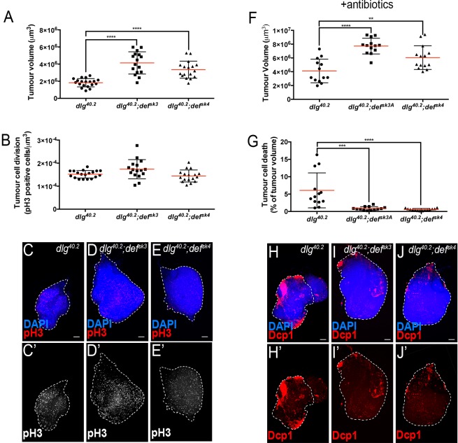 Figure 2—figure supplement 1.