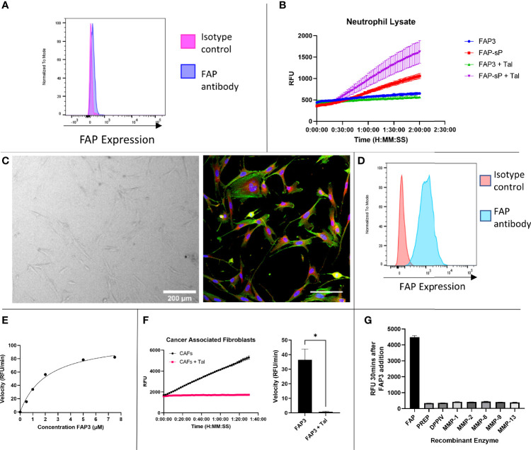 Figure 4