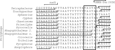 FIG. 3.—