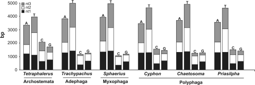 FIG. 1.—