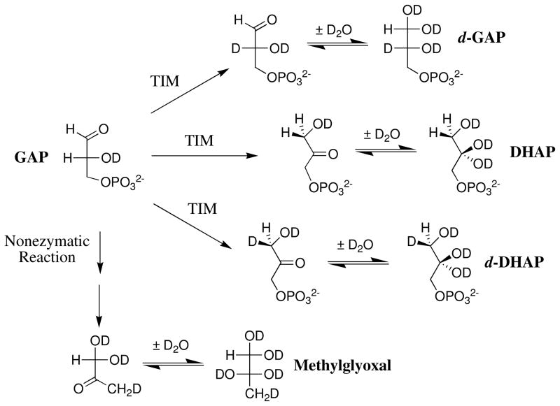 Scheme 2