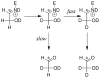 Scheme 5