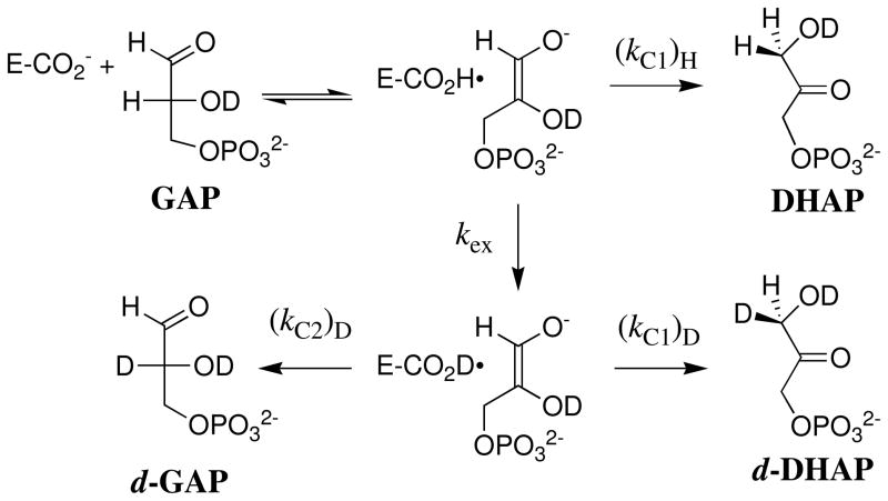 Scheme 3