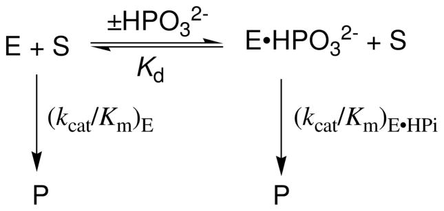 Scheme 6