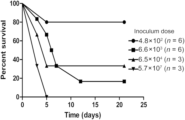 Figure 4