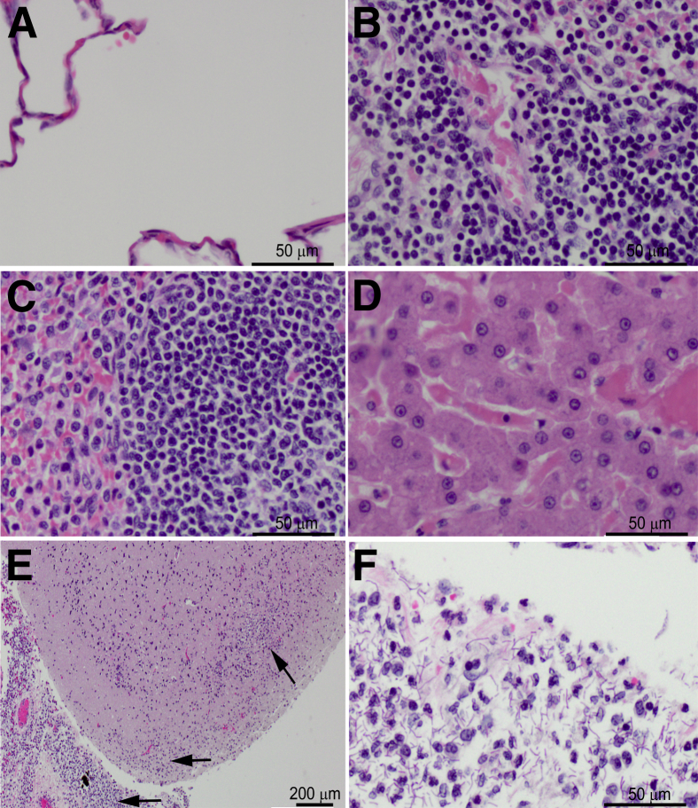 Figure 7