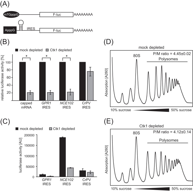 FIG 2