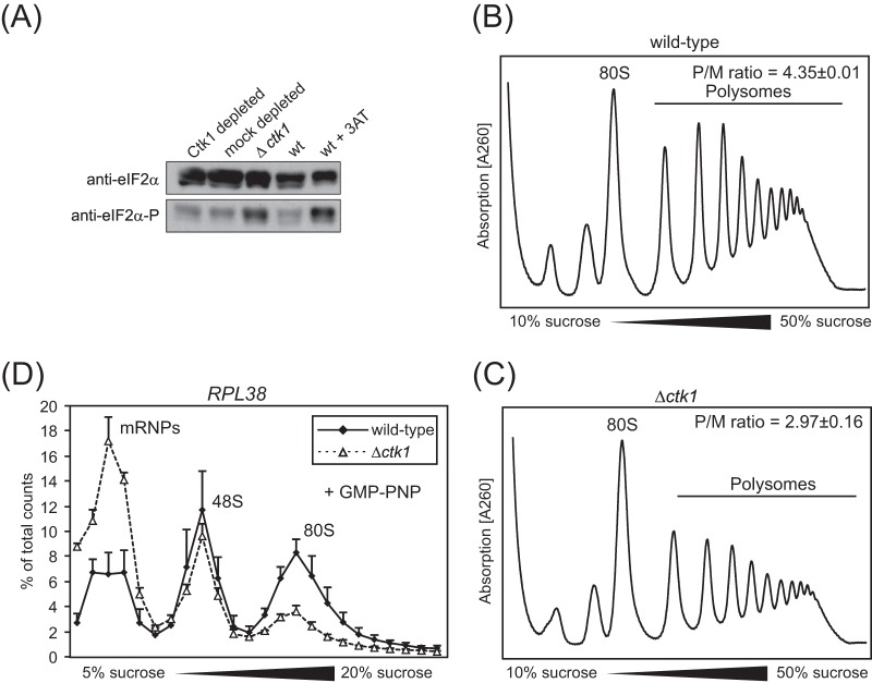 FIG 1