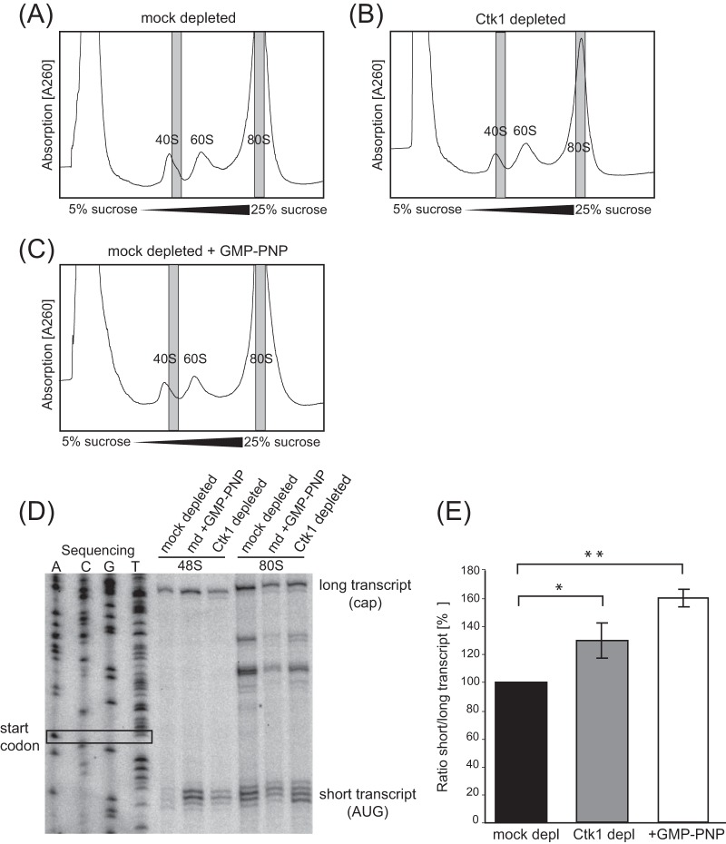 FIG 6